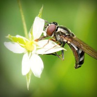 /album/%e5%8f%b0%e7%81%a3%e5%8b%95%e6%bc%ab%e5%89%b5%e4%bd%9c%e5%8d%94%e6%9c%83/photolia-a02-jpg/