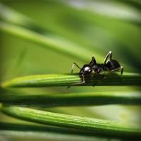 /album/%e5%8f%b0%e7%81%a3%e5%8b%95%e6%bc%ab%e5%89%b5%e4%bd%9c%e5%8d%94%e6%9c%83/photolia-a05-jpg/