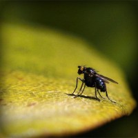 /album/%e5%8f%b0%e7%81%a3%e5%8b%95%e6%bc%ab%e5%89%b5%e4%bd%9c%e5%8d%94%e6%9c%83/photolia-a07-jpg/