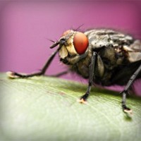 /album/%e5%8f%b0%e7%81%a3%e5%8b%95%e6%bc%ab%e5%89%b5%e4%bd%9c%e5%8d%94%e6%9c%83/photolia-a08-jpg/